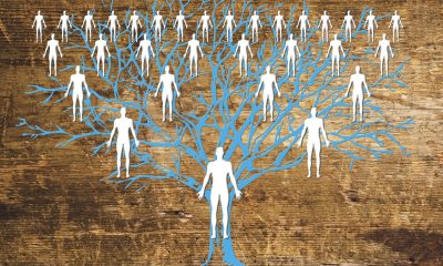 family tree tree graphic with human figures